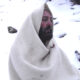 Biagio