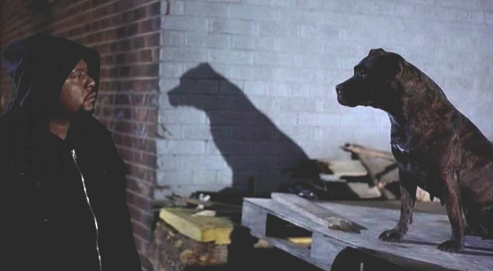 Ghost Dog- Il codice del samurai Jim Jarmush