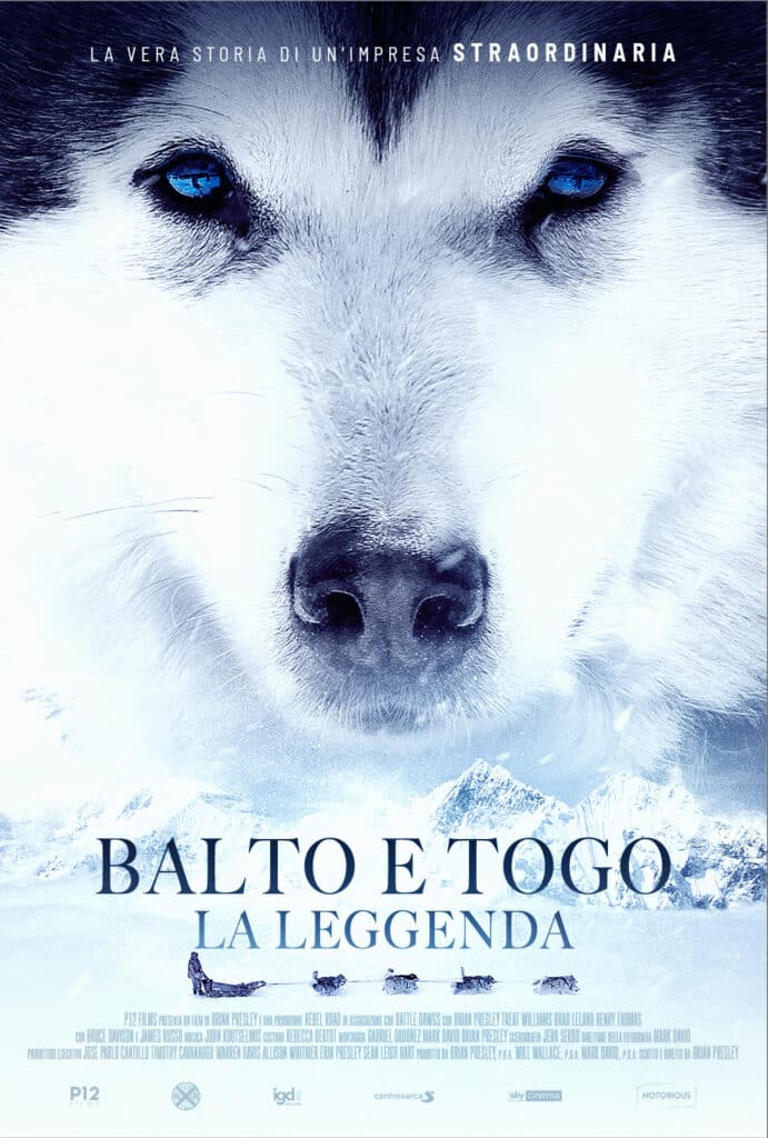 BALTO E TOGO Locandina