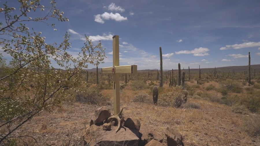 My America di Barbara Cupisti