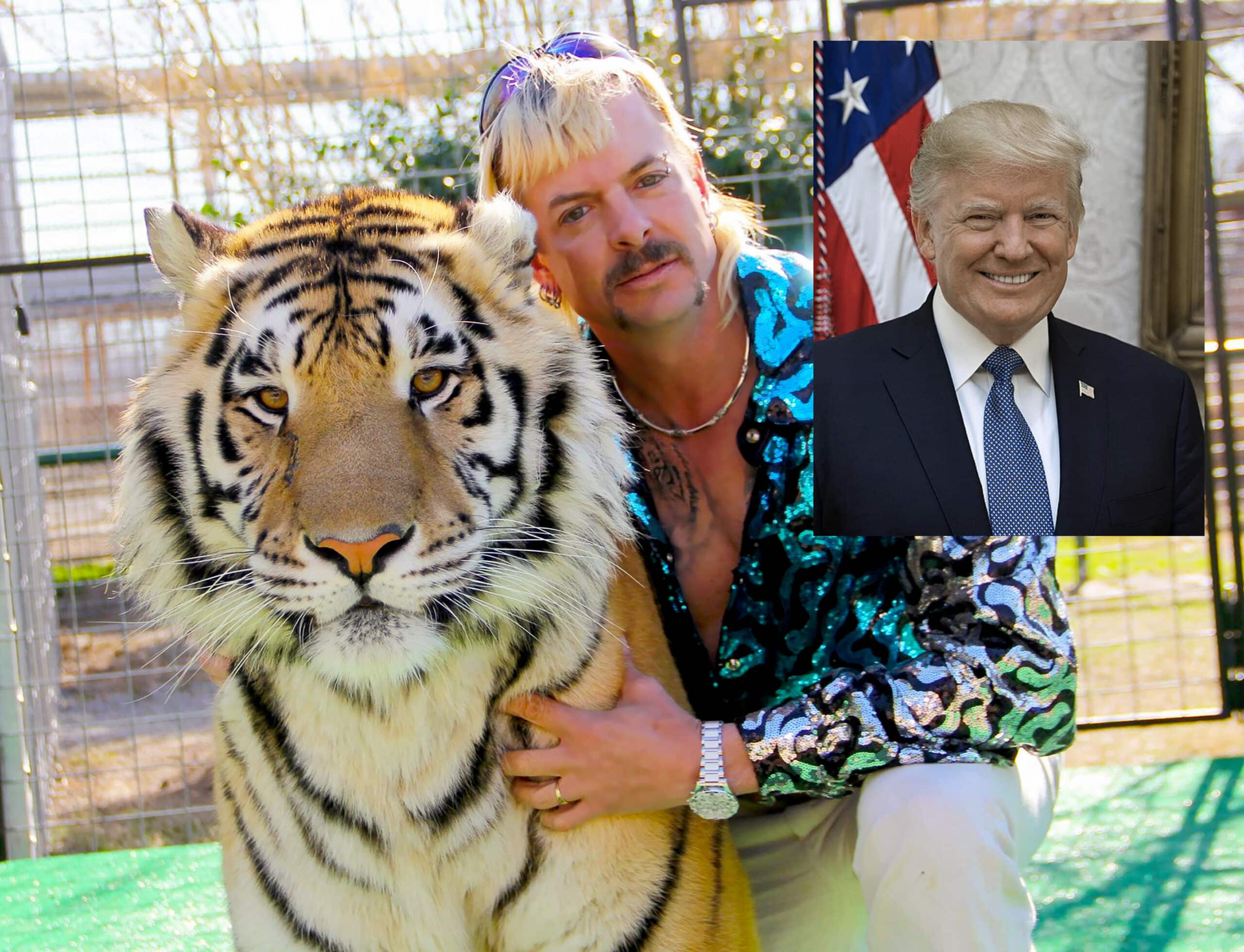 TIGER KING JOE EXOTIC