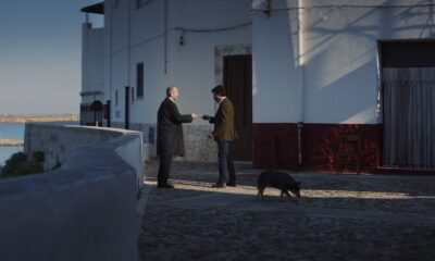 Julien Paolini amare amaro
