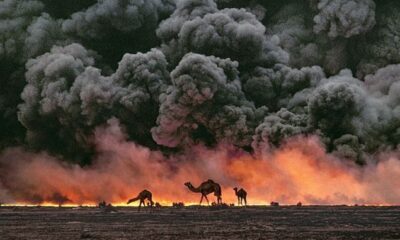 La guerra del Golfo film