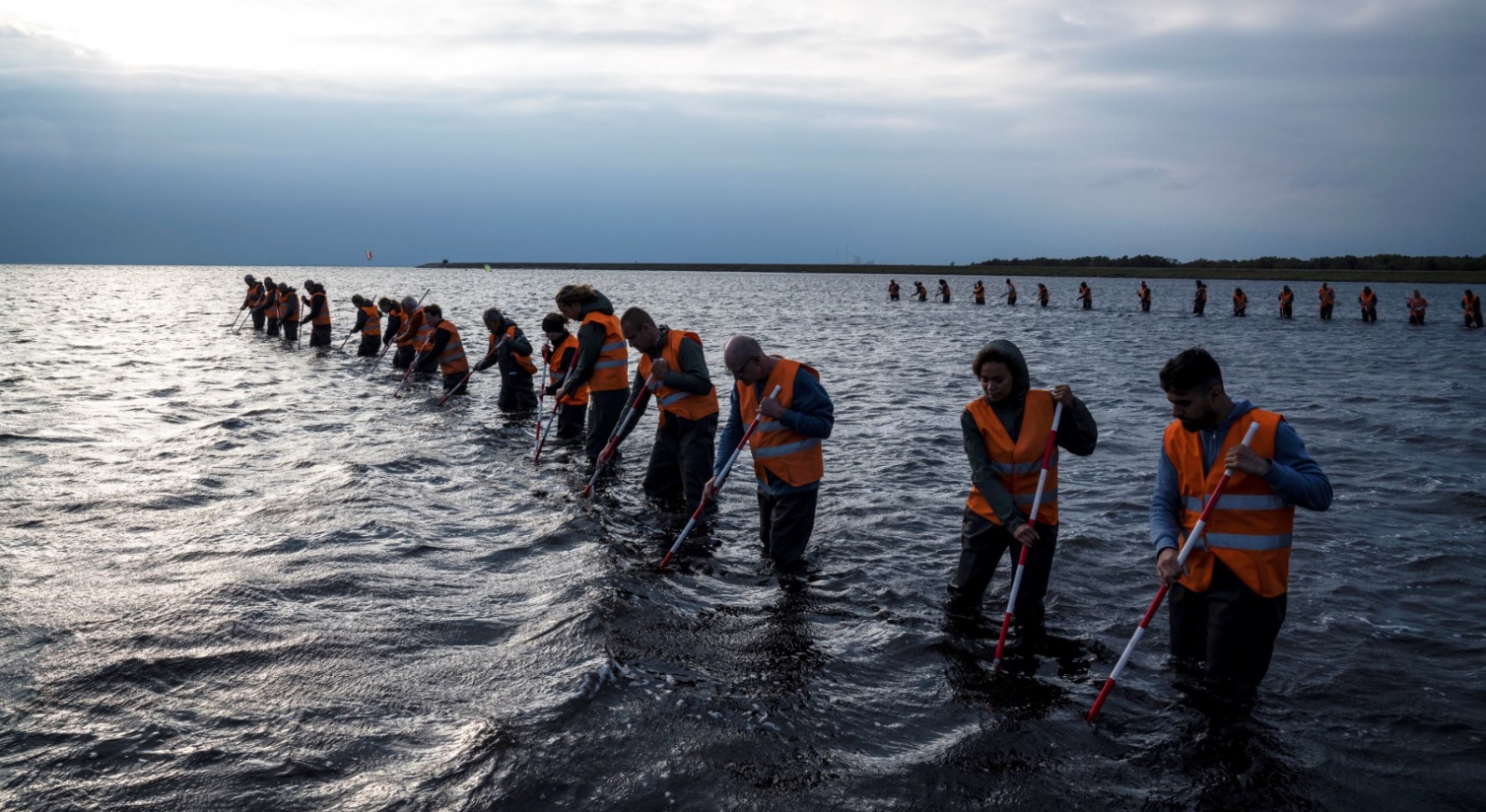 serie tv the investigation