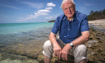 David Attenborough