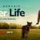 After Life 3
