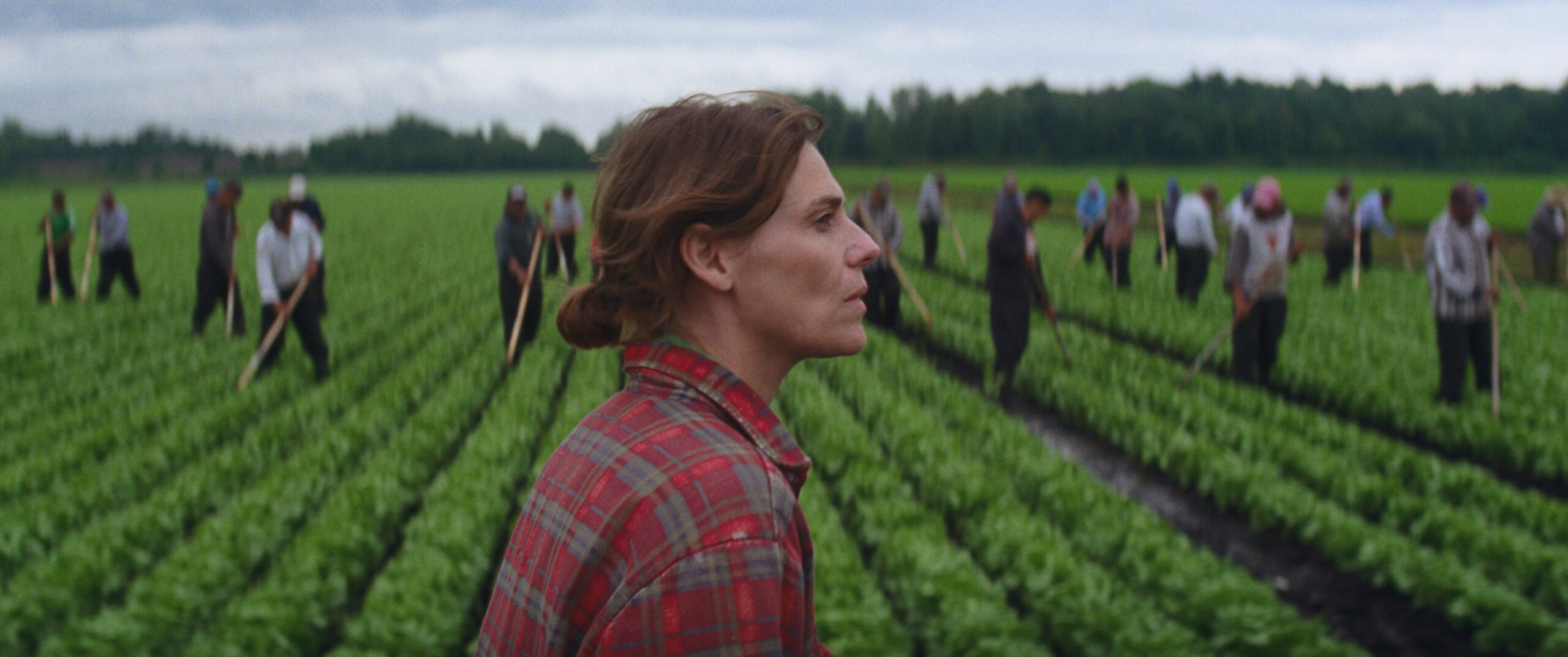 Journées du cinéma québécois
