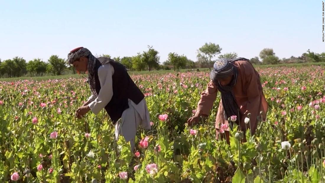 Tre canzoni per Benazir, nel campo fiorito