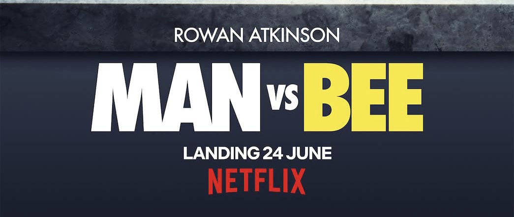 Man vs Bee