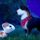 pets 2