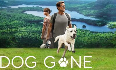 Dog Gone