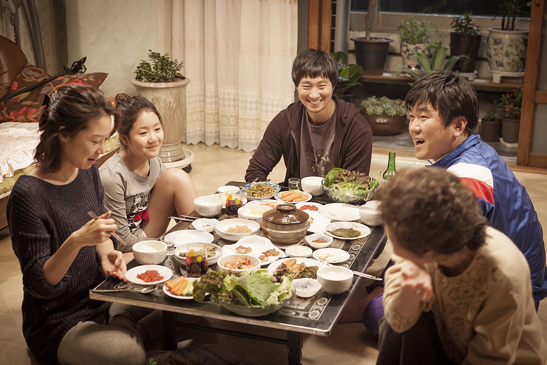 boomerang family