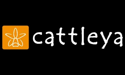 Cattleya ecco il nuovo ambizioso progetto!