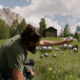 film commission sud tirolo
