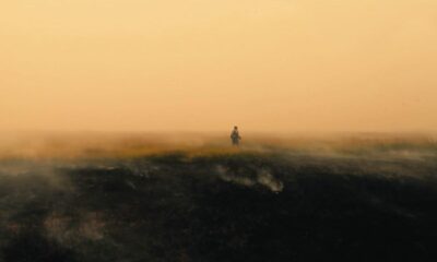 Paradise Alexander Abaturov
