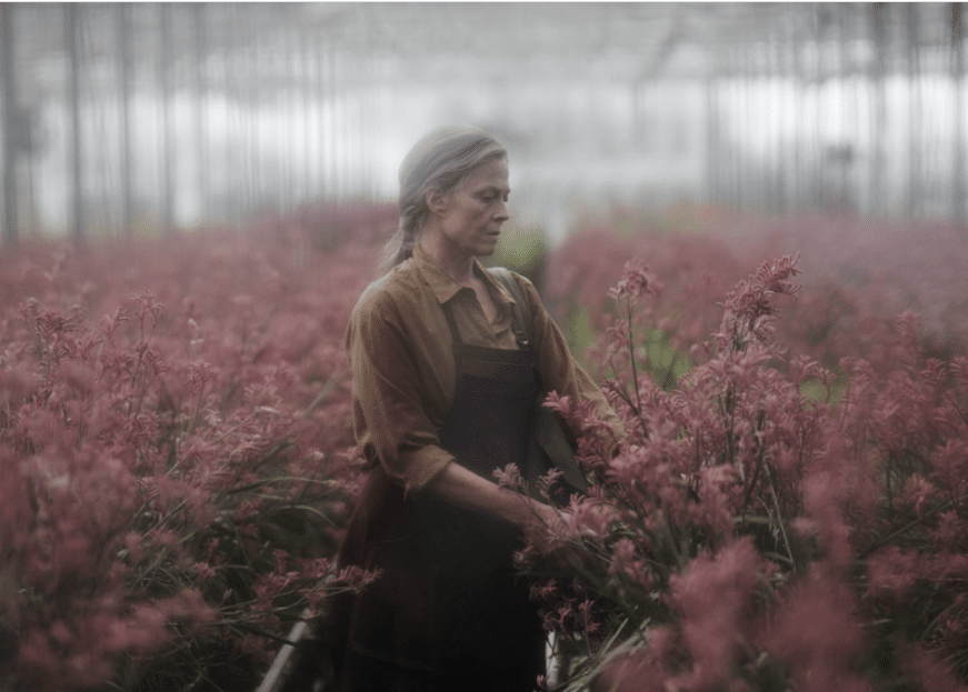 The Lost Flowers of Alice Hart foto