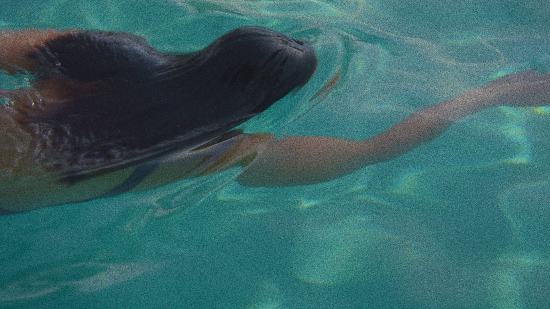 the swimmers