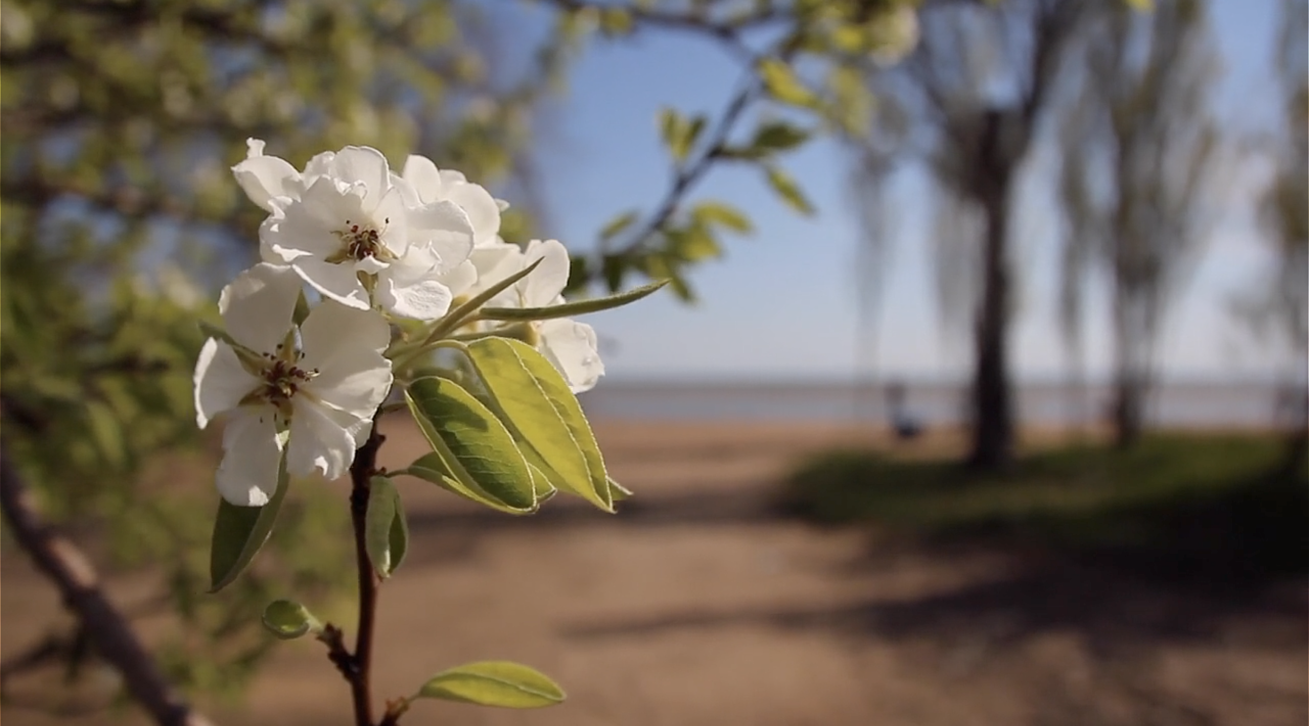 Spring in Mariupol