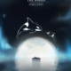 Tahlequah the whale