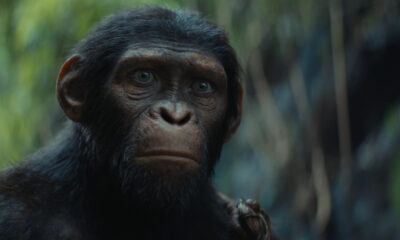 Il regno del pianeta delle scimmie :  Il primo trailer e il poster