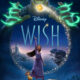 wish poster