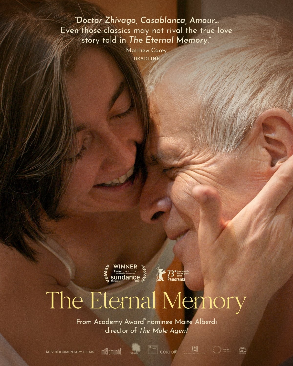 The Eternal Memory poster