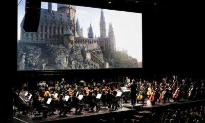 harry potter ordine fenice concerto