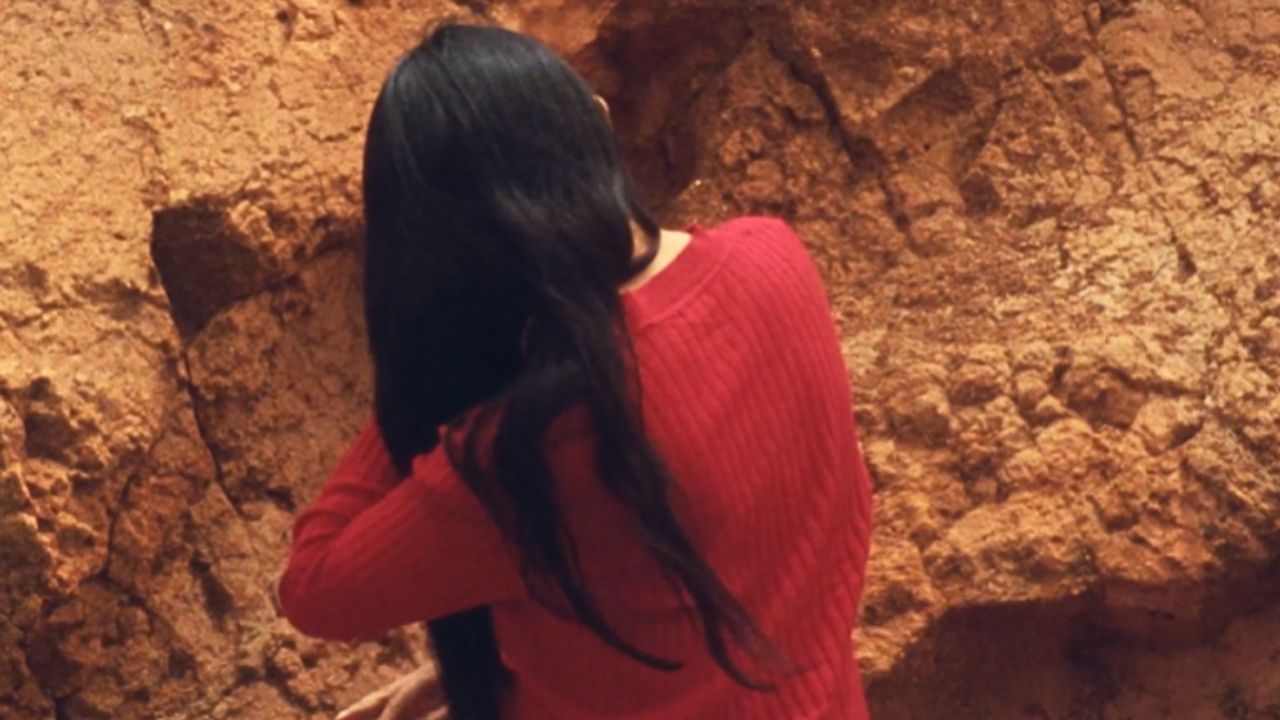 manu a visual album