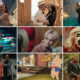 Ora al cinema: i nuovi film al cinema dal 7 novembre