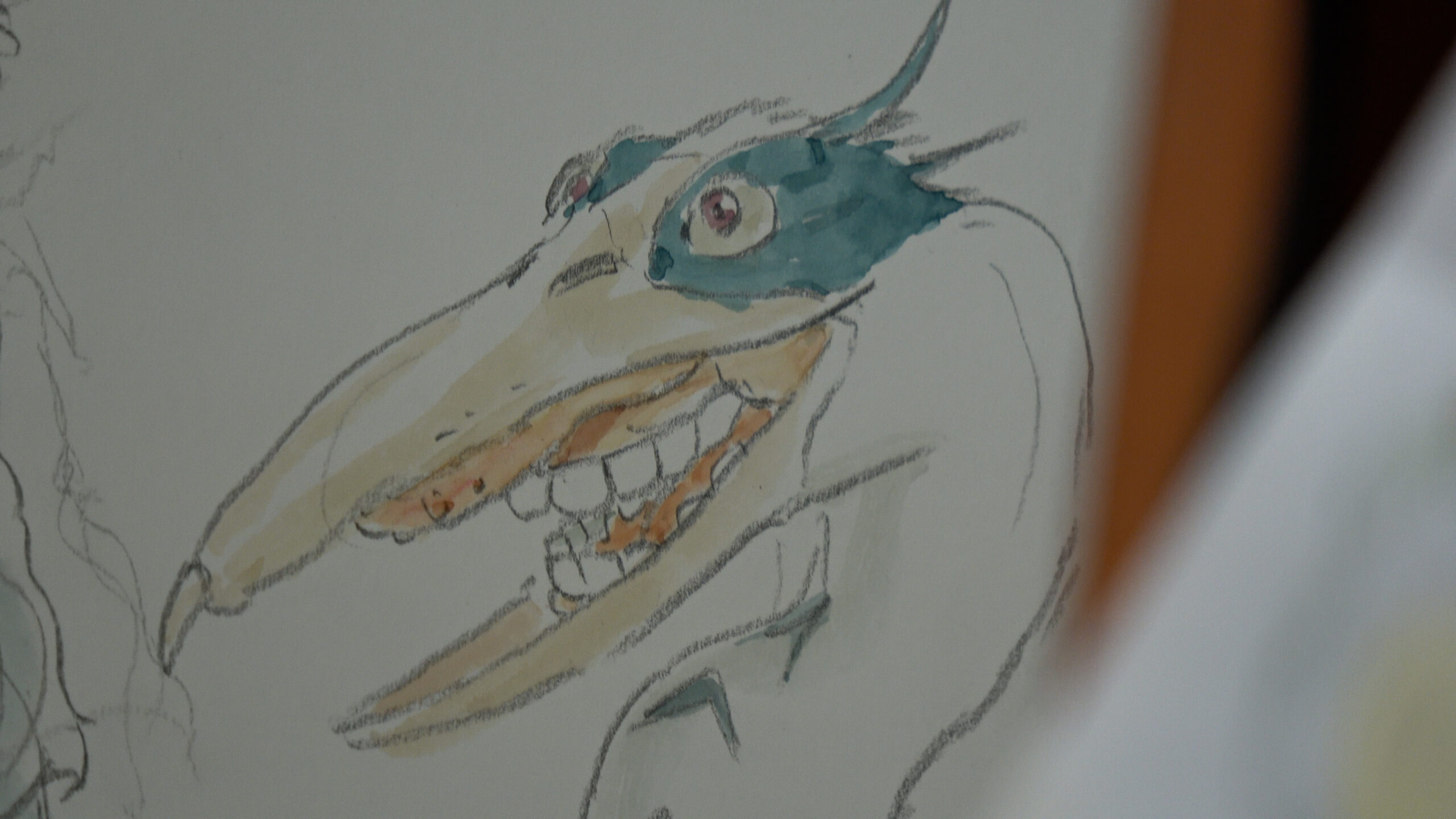 Hayao Miyazaki e l'airone - Disegno