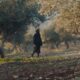Immersa in una fitta nebbia è la storia di due coniugi, sfuggiti alla guerra in Gaza, ma non ancora al dolore della perdita