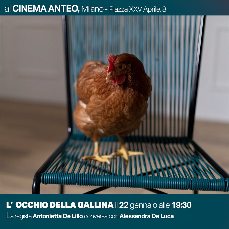 L’occhio della gallina 