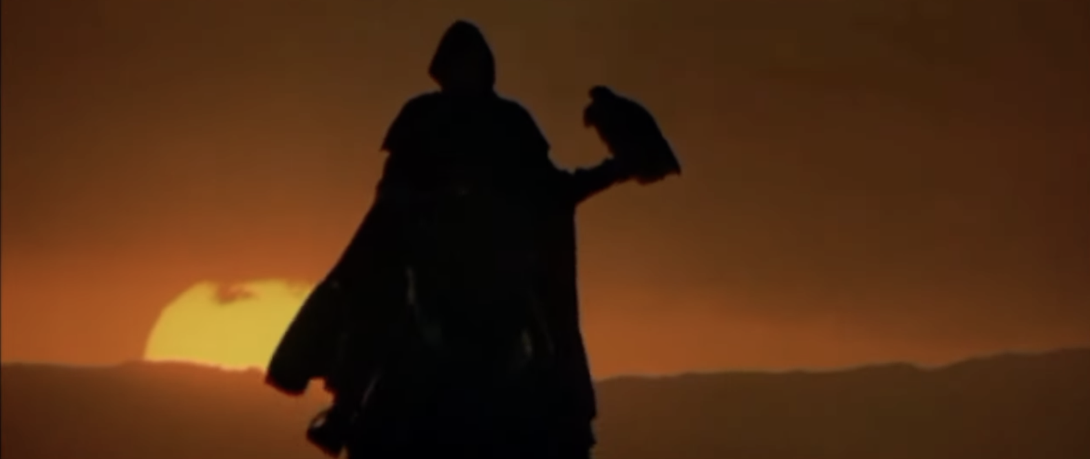 ladyhawke