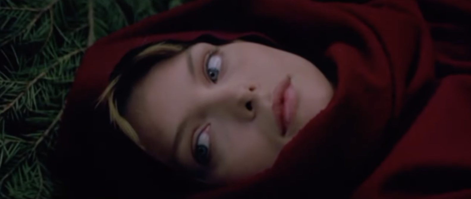 ladyhawke
