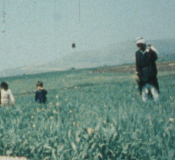 Ecco che ci troviamo nella seconda rassegna dedicata al Nuovo Cinema Palestina. Sempre al Pordenone DOCS Fest XVIII edizione