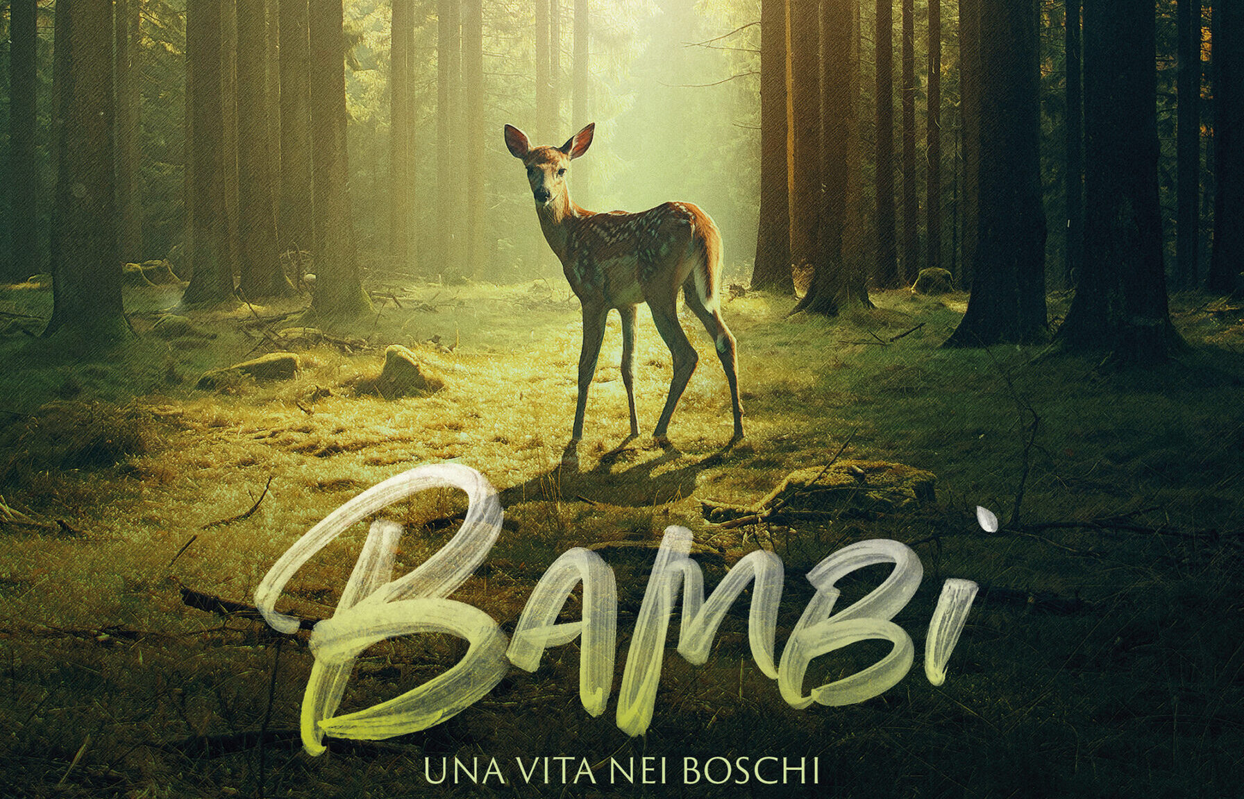 Bambi