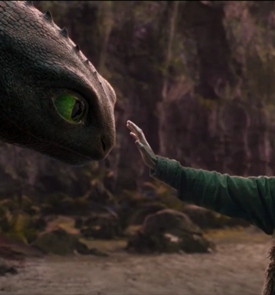 Iconica immagine di Dragon trainer