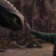 Iconica immagine di Dragon trainer