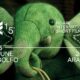 Figari International Film Fest