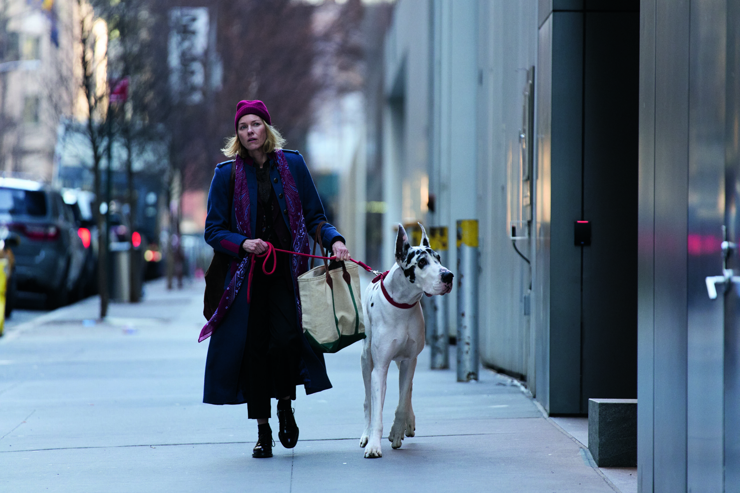 l'amico fedele Sky di dicembre 2025