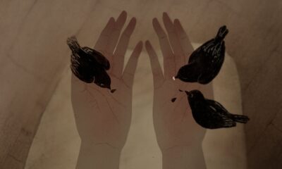 Three Birds