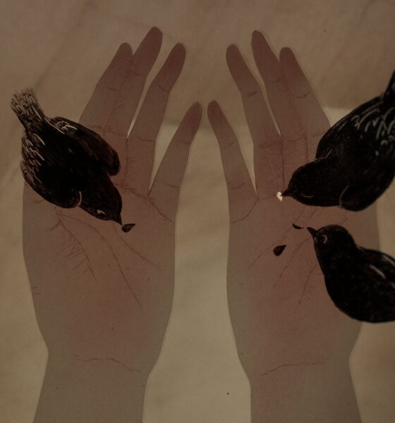 Three Birds