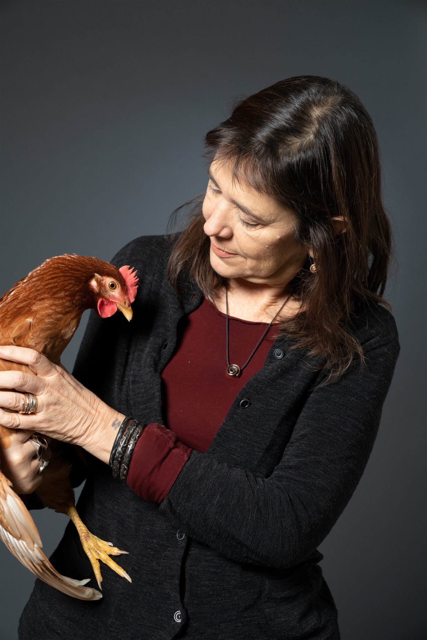 L’occhio della gallina