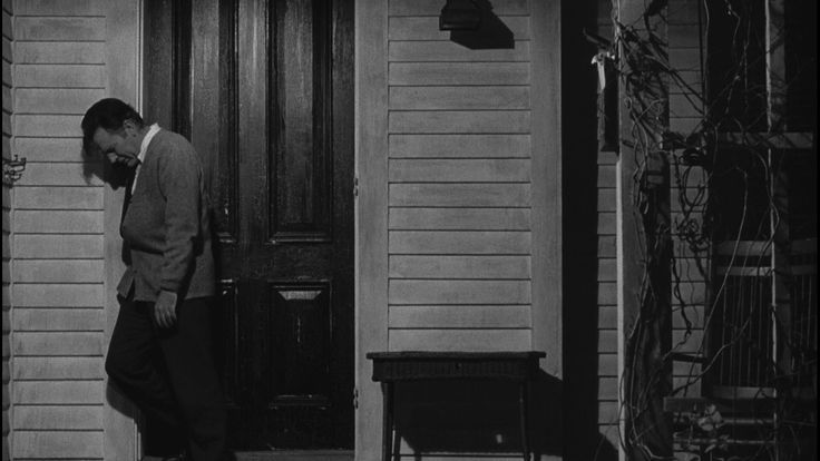 Who's Afraid Of Virginia Woolf 