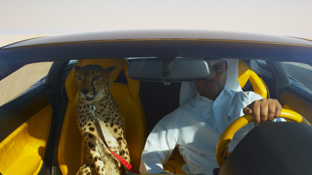 Still del film The Challenge di Yuri Ancarani in cui figura un uomo e un falcone all'interno di un'automobile di lusso.