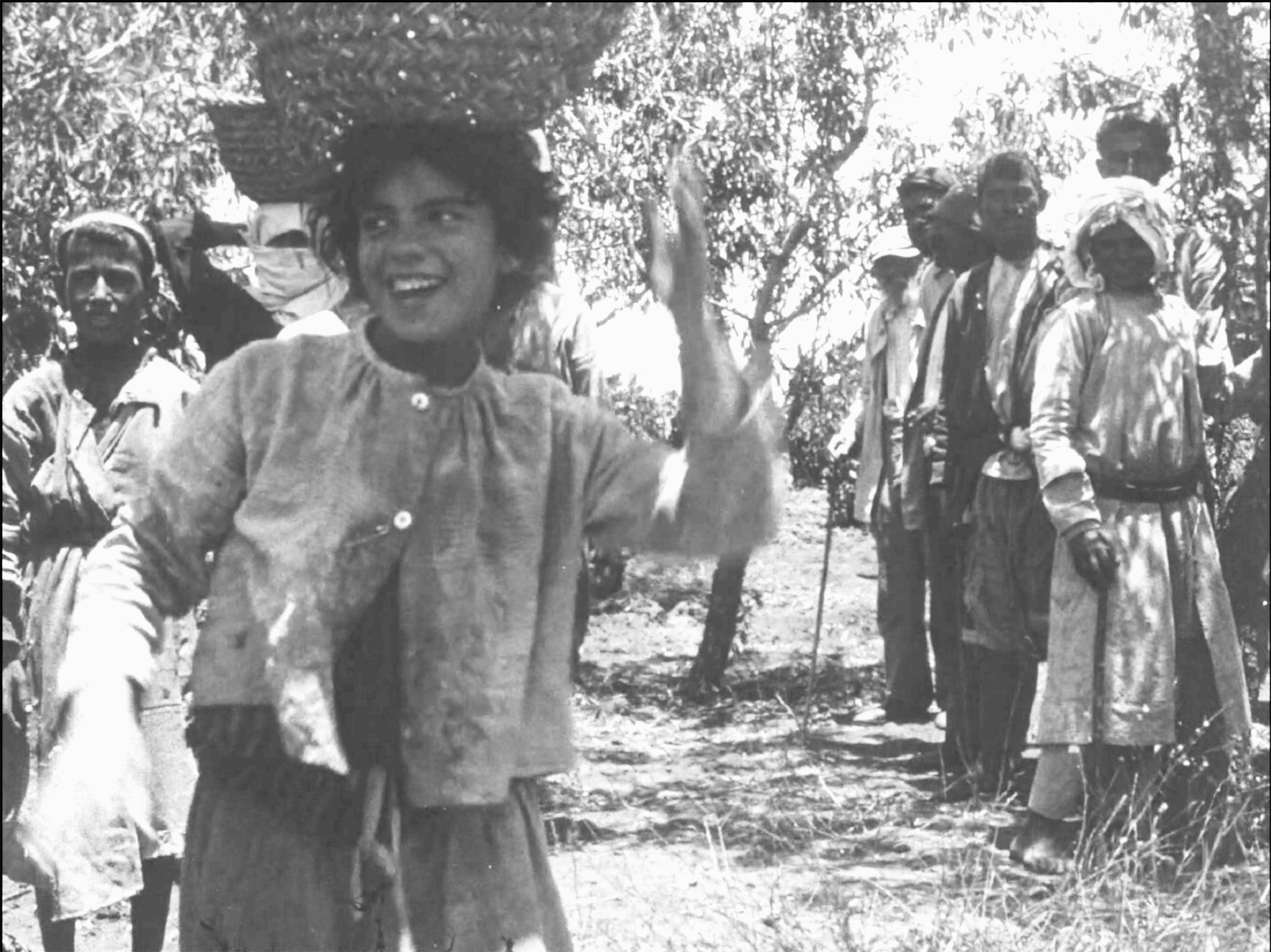 Palestine a revised narrative