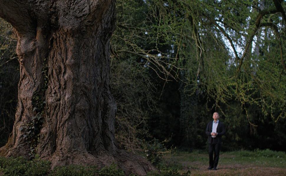 In concorso all'82° mostra del cinema di Venezia è stato presentato il nuovo film di Ildikó Enyedi, "Silent Friend".