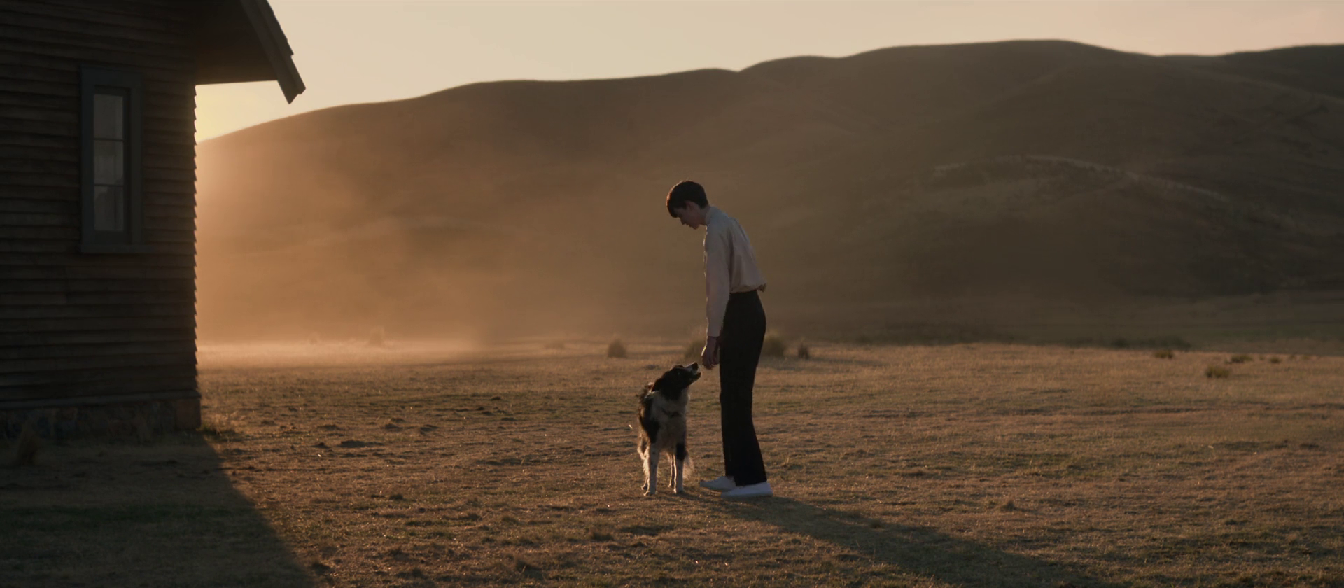 Il potere del cane Jane Campion