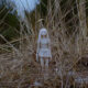 Al Sentiero Film Factory ‘On Weary Wings Go By’, un corto animato in stop motion perturbante e dai toni cupi