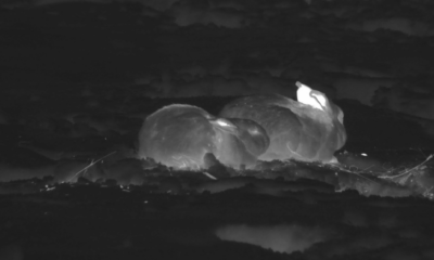 Appunti per una storia sarda